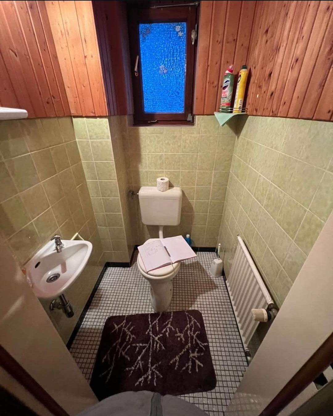 Altes Gäste-WC mit Holzverkleidung und grünen Fliesen vor der Sanierung